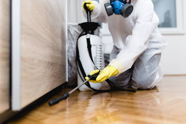 Flea Control Services in Winchester, NV
