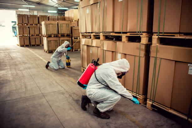 Best Bed Bug Extermination  in Winchester, NV