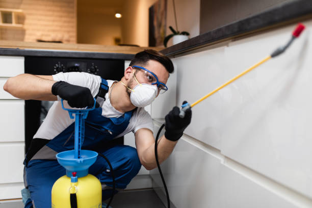 Best Best Pest Control Companies  in Winchester, NV
