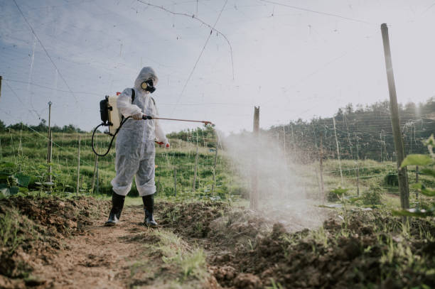 Best Local Pest Control Services  in Winchester, NV