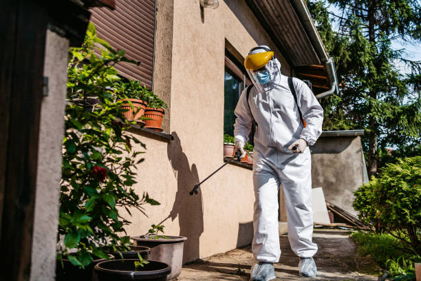 Best Affordable Pest Control Services  in Winchester, NV