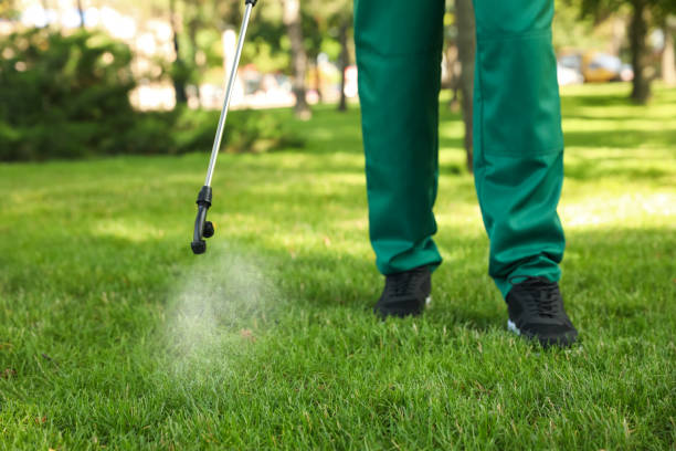 Insect Control in Winchester, NV