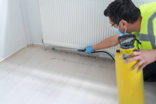 Best Affordable Pest Control Services  in Winchester, NV