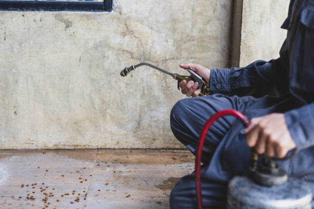 Best Pest Removal Services  in Winchester, NV